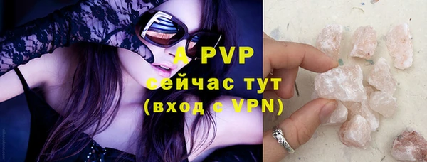 шишки Лабытнанги