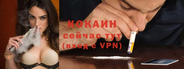 шишки Лабытнанги