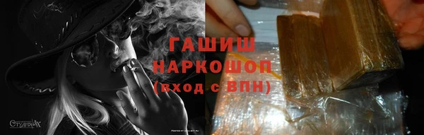 шишки Лабытнанги