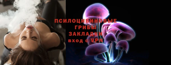шишки Лабытнанги