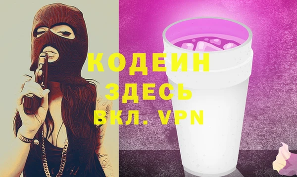 шишки Лабытнанги