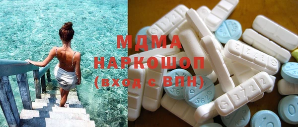 шишки Лабытнанги