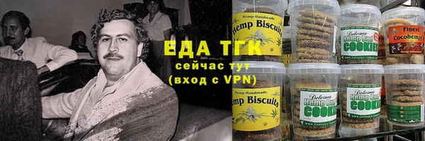 шишки Лабытнанги