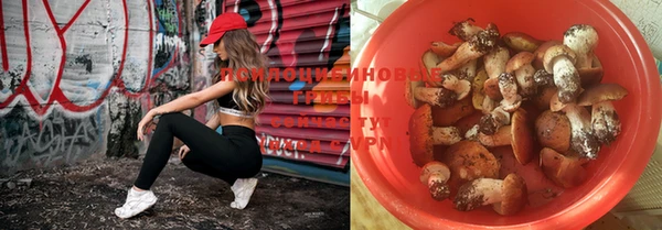 шишки Лабытнанги