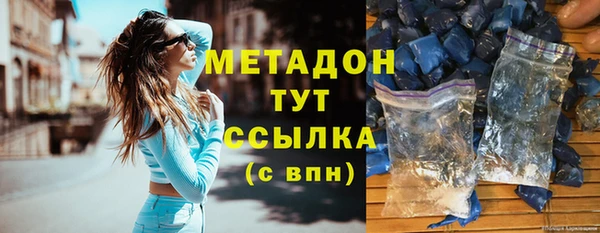 шишки Лабытнанги