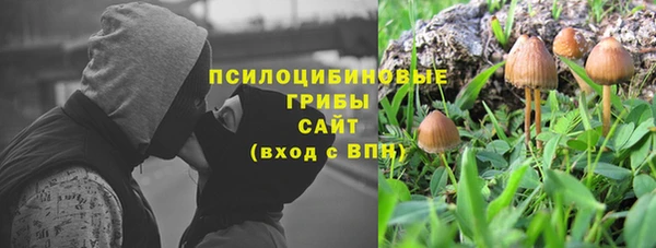 шишки Лабытнанги