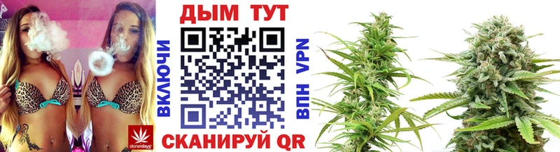 Бошки Шишки VHQ  Купить закладки  Карталы 